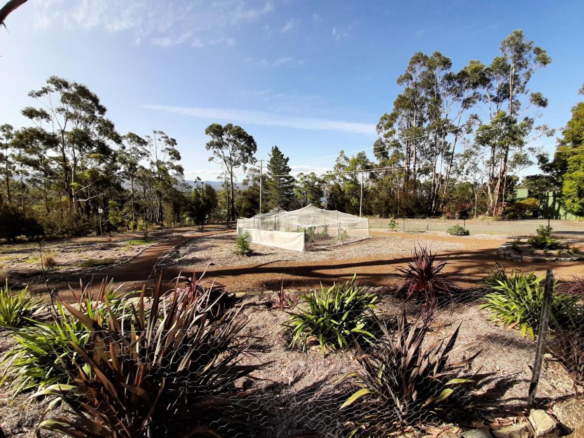 Spring Beach Garden Retreat Esterno foto